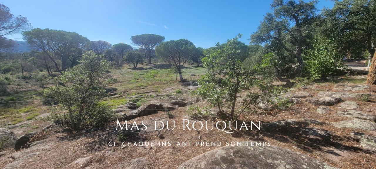 Le Mas Du Rouquan Vidauban Exteriör bild