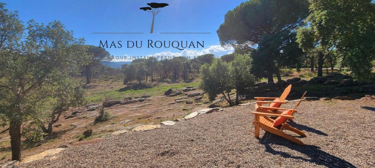 Le Mas Du Rouquan Vidauban Exteriör bild
