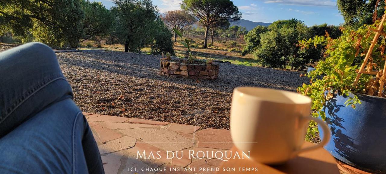 Le Mas Du Rouquan Vidauban Exteriör bild
