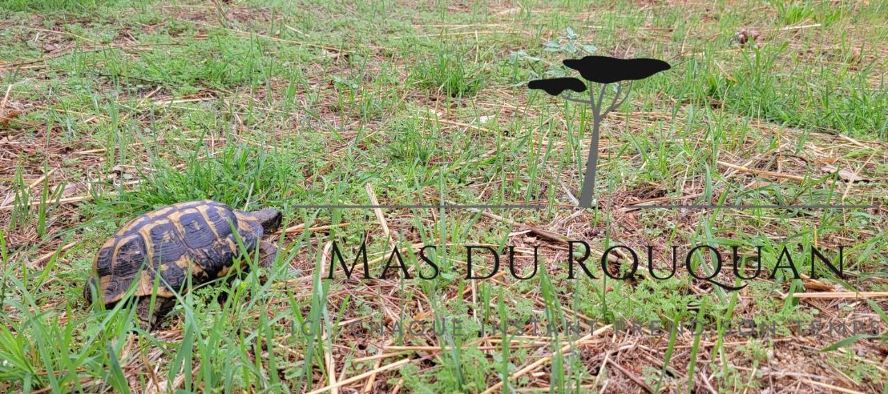 Le Mas Du Rouquan Vidauban Exteriör bild